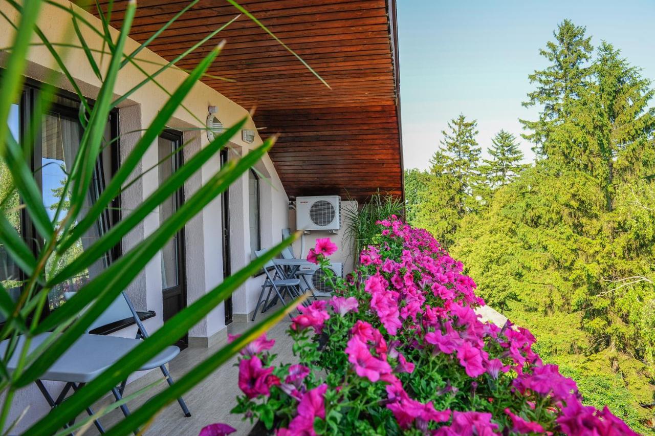 Villa Alice Suceava Eksteriør bilde