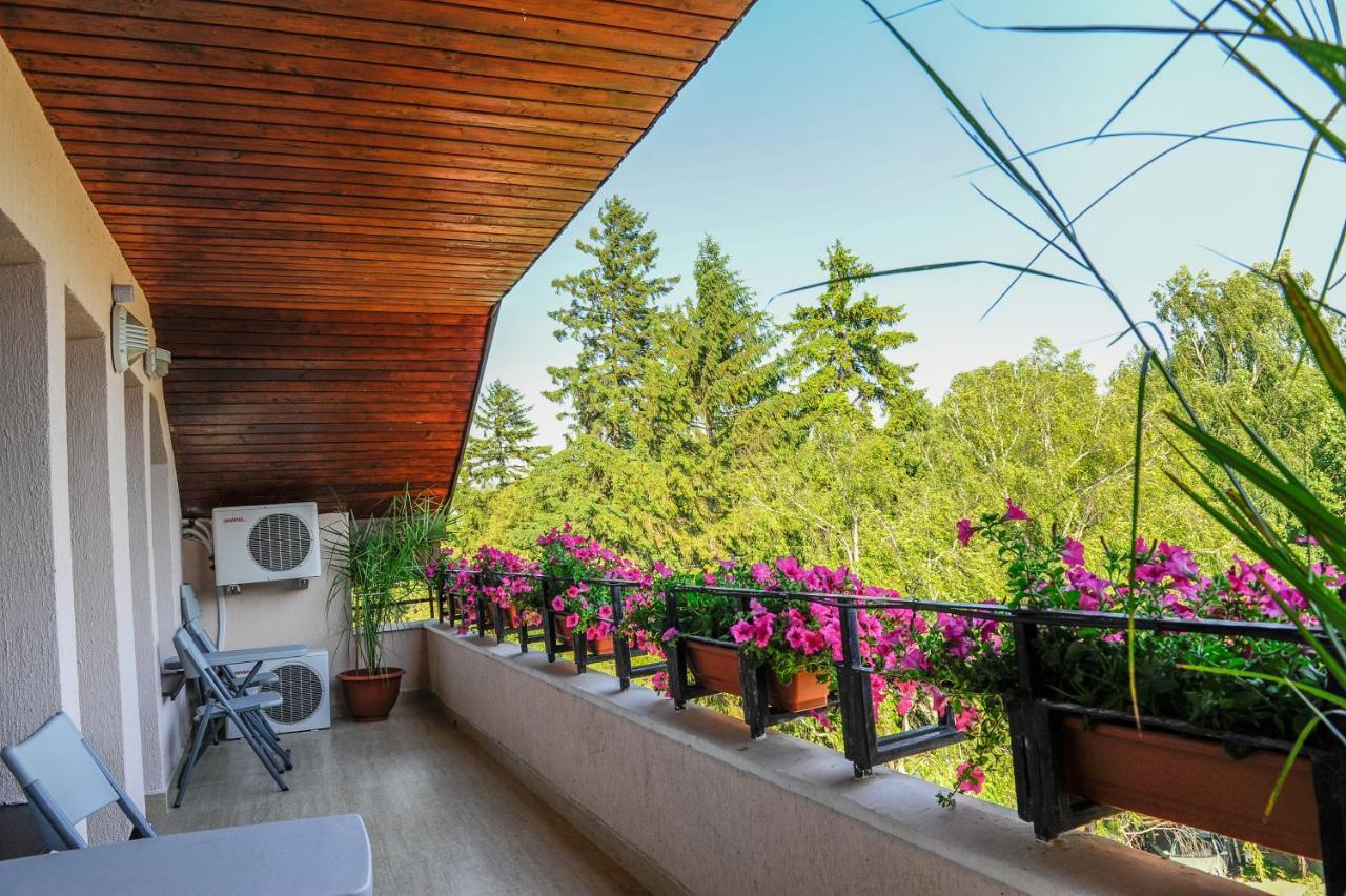 Villa Alice Suceava Eksteriør bilde